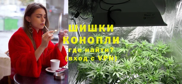 индика Усмань