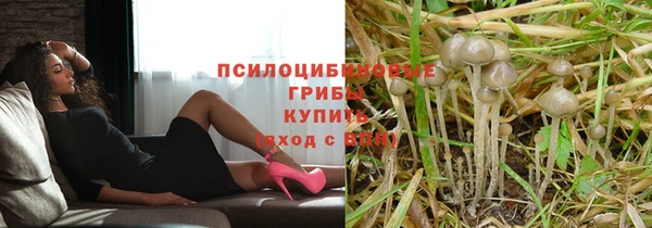 гидра Армянск
