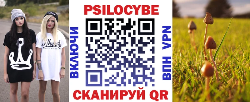 Псилоцибиновые грибы прущие грибы наркошоп Южно-Сухокумск